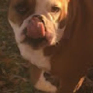 Meet your Posher, Mindy